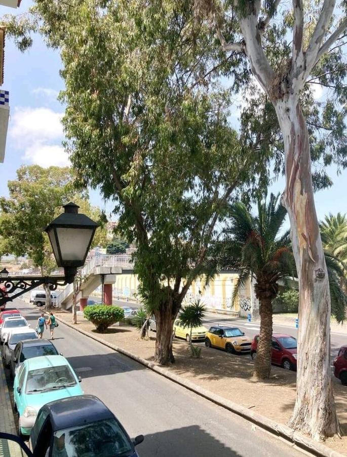 فندق لاس بالماس دي غران كاناريافي  Casa Eucalipto المظهر الخارجي الصورة